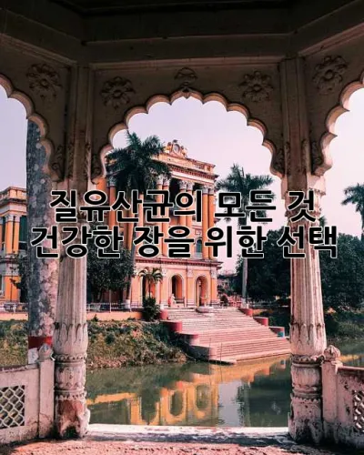 질유산균의 모든 것: 건강한 장을 위한 선택